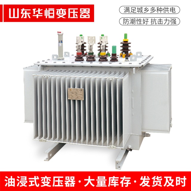 S13-10000/35岚皋岚皋岚皋电力变压器